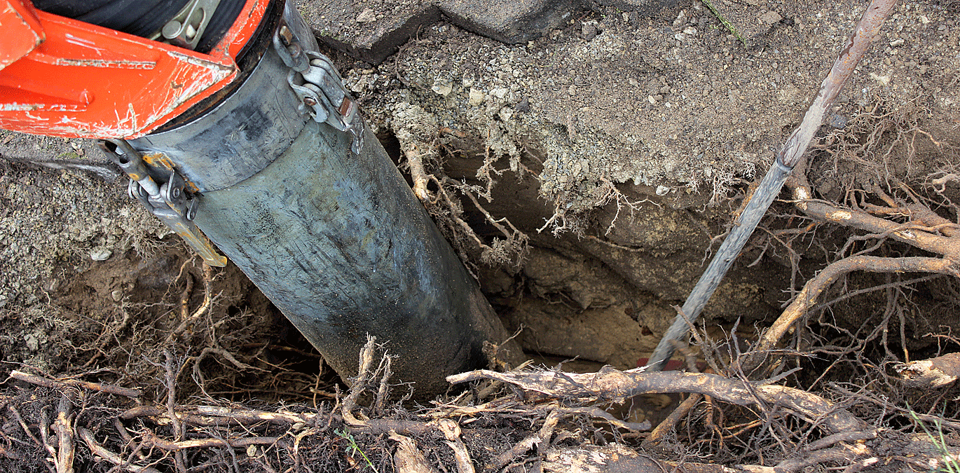 Baumwurzeln freilegen mit dem Saugbagger